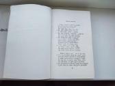 A. Baranauskas. Raštai. Pirmas, antras tomai - nuotraukos Nr. 4