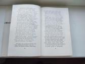 A. Baranauskas. Raštai. Pirmas, antras tomai - nuotraukos Nr. 5
