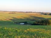 Parduodamas 13.2290 ha žemės sklypas su tvenkiniai - nuotraukos Nr. 5