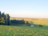 Parduodamas 13.2290 ha žemės sklypas su tvenkiniai - nuotraukos Nr. 6