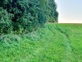 Parduodamas 13.2290 ha žemės sklypas su tvenkiniai - nuotraukos Nr. 9