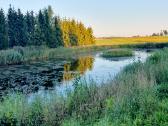 Parduodamas 13.2290 ha žemės sklypas su tvenkiniai - nuotraukos Nr. 10