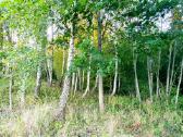 Parduodamas 13.2290 ha žemės sklypas su tvenkiniai - nuotraukos Nr. 11