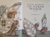 Knyga V.žilinskaitė Tik niekam nesakyk - nuotraukos Nr. 2