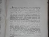 1826. Lietuvių Archyvas Bolševizmo Metai - nuotraukos Nr. 10