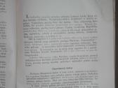 1826. Lietuvių Archyvas Bolševizmo Metai - nuotraukos Nr. 13