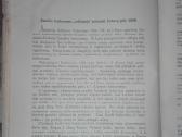 1826. Lietuvių Archyvas Bolševizmo Metai - nuotraukos Nr. 14