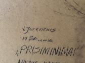 V. Jurevičiaus paveikslų pora - nuotraukos Nr. 5