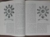 1835. Памятники Культуры Новые Открытия Письменнос - nuotraukos Nr. 10