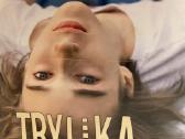 Knyga "Trylika priežasčių kodėl" - nuotraukos Nr. 4