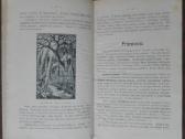 1841. Senovės Istorija J. Geniušas - nuotraukos Nr. 6