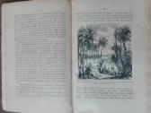 1843. Iš Tamsios Praeities Į Šviesią Ateitį N. Hub - nuotraukos Nr. 9