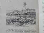 1843. Iš Tamsios Praeities Į Šviesią Ateitį N. Hub - nuotraukos Nr. 12