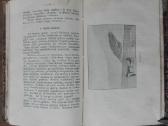 1845. Vandens Ir Vėjo Galybės labai reta - nuotraukos Nr. 8