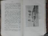 1845. Vandens Ir Vėjo Galybės labai reta - nuotraukos Nr. 10