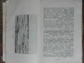 1845. Vandens Ir Vėjo Galybės labai reta - nuotraukos Nr. 15