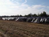 Šiaudų kitkos, Parduodam ir po 1vnt. Iš rugių - nuotraukos Nr. 9
