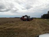 Šiaudų kitkos, Parduodam ir po 1vnt. Iš rugių - nuotraukos Nr. 10