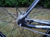 Naujas bianchi camaleonte sport dviratis - nuotraukos Nr. 3