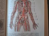 Mažoji medicinos enciklopedija. Ru - nuotraukos Nr. 6