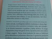 Motinystės "atostogos" - nuotraukos Nr. 3