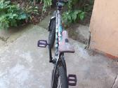 BMX - nuotraukos Nr. 2