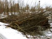 Žoles pjovimas,medžių ir krūmų pjovimas ir išvež. - nuotraukos Nr. 13