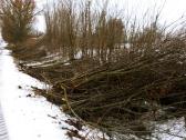 Žoles pjovimas,medžių ir krūmų pjovimas ir išvež. - nuotraukos Nr. 12