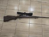 Karabinas Winchester Firearms