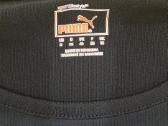 Puma grazi maikute - nuotraukos Nr. 2