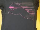 Puma grazi maikute