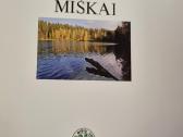 Senovę menantys miškai - nuotraukos Nr. 2