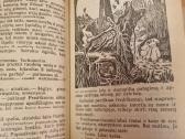 Burtininko skrybėlė - nuotraukos Nr. 6