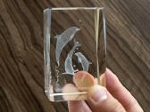 3D Lazerinio Stiklo Skulptūra su delfinais - nuotraukos Nr. 7