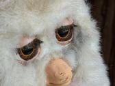 Emoto-tronic Furbys Caramel Syrup (2005) Hasbro - nuotraukos Nr. 5