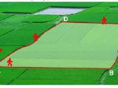 Daug modelių! GPS žemės ploto matuoklis Noyaf N198 - nuotraukos Nr. 10