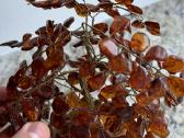 Gintarinis medis ant akmens - nuotraukos Nr. 4