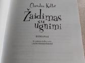 Žaidimas su ugnimi - nuotraukos Nr. 2