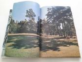 Palanga - puikiai islaikyta sena knyga, 1989m. - nuotraukos Nr. 3