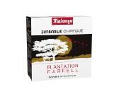 Malongo Rombouts Zinzino aparatams - nuotraukos Nr. 16