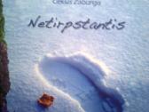 Poezijos knygos - nuotraukos Nr. 2