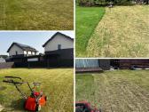 Sodo vejos pjovimas. Apleistų sklypu tvarkymas! - nuotraukos Nr. 6