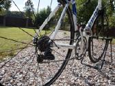 Specialized allez plento dviratis - nuotraukos Nr. 5