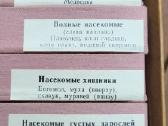 Sovetmecio 1975 m vabzdziu kollekcija - nuotraukos Nr. 9