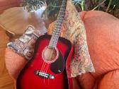 Tenson akustinė gitara su dėklu ir kitais priedais