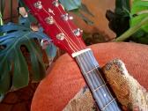Tenson akustinė gitara su dėklu ir kitais priedais - nuotraukos Nr. 4