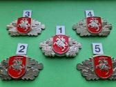 Valstybės sienos apsaugos tarnybos ženklas - nuotraukos Nr. 26