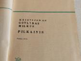 Pilkainis - nuotraukos Nr. 2