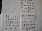 Karpomasis raidynas - nuotraukos Nr. 6
