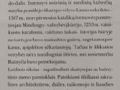 Lietuvos bažnyčių menas - nuotraukos Nr. 3
